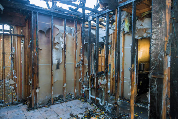 Professional Fire Damage Assessment technician working in Wapello, IA